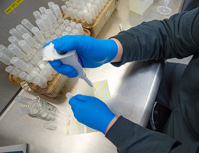 Person wearing blue gloves in dairy lab